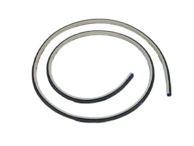 Chrysler Door Seal - 1KV45DX9AG