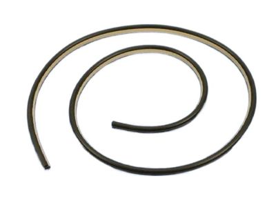Chrysler Door Seal - 1KV45DX9AG