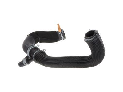 Dodge Charger Radiator Hose - 4598103AG