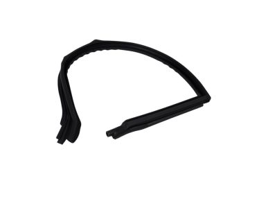 Mopar 4575891AH Running Front Door Glass