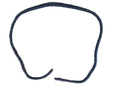 Mopar 5074523AC Weatherstrip Liftgate Opening