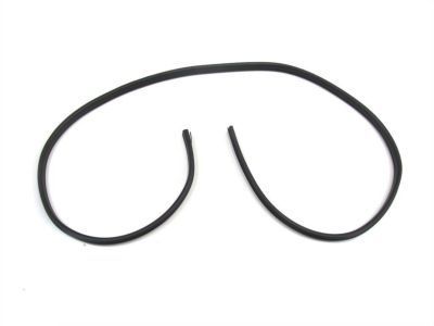 Jeep Door Seal - 55396698AH