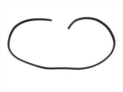 Jeep Door Seal - 55396698AH