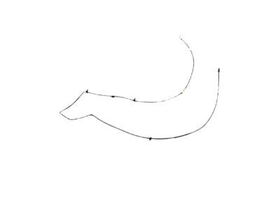 Chrysler 4805741AE Washer Hose