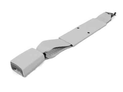 Ram 1XE661X9AA BUCKLE ASSY BUCKLE ASSY-S/BELT Lap, Center