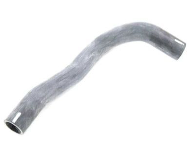 Chrysler 300M Radiator Hose - 4767160