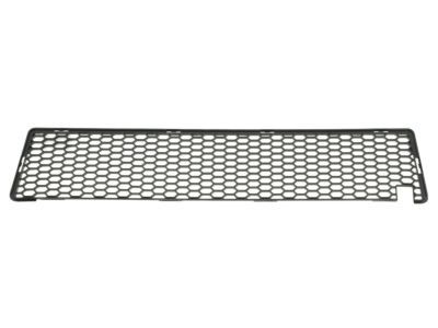 Dodge 5030288AD Lower Grille