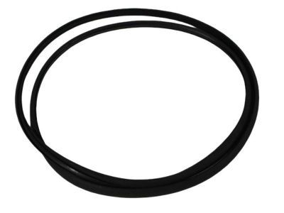 Chrysler 5016638AB Glass Panel Seal
