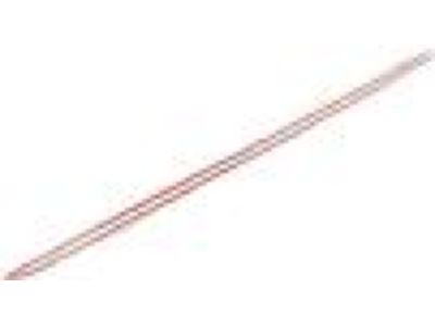 Mopar 1DH28ZR3AB Molding Front Door