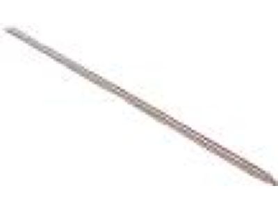 Mopar 1DH28ZR3AB Molding Front Door