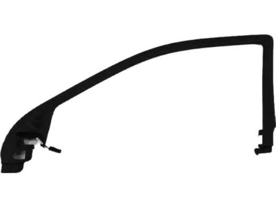 Mopar 1TT02DX9AB Molding Front Door