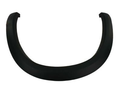 Dodge 1FV94TZZAH Wheel Flare