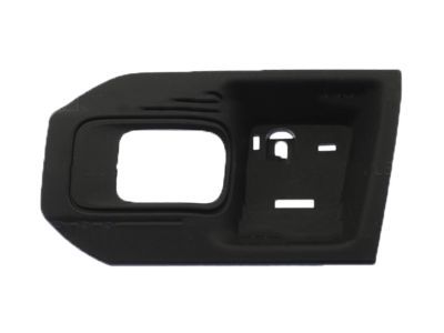 Ram 1WD59DX9AC Handle Bezel