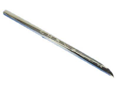 Chrysler Town & Country Door Moldings - 5182598AA