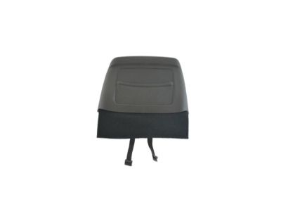 Chrysler 1UW23DX9AC Seat Back Panel