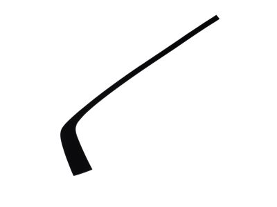 Mopar 57010506AH Molding Rear Door