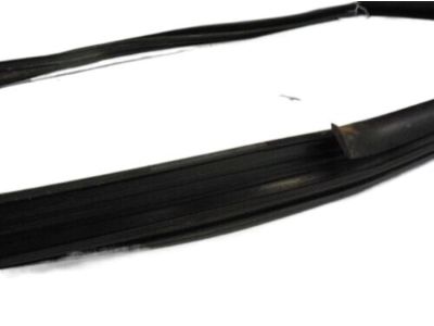 Jeep 55134725 Door Weatherstrip