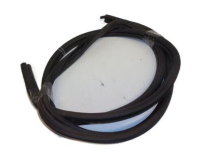 Jeep 55134725 Door Weatherstrip