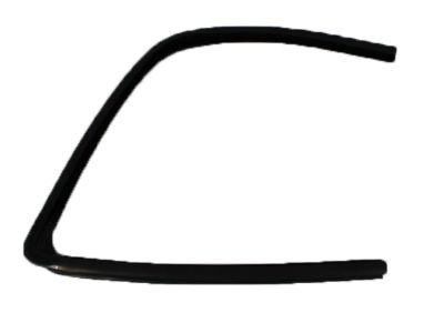 Dodge 55276165AD SEAL Rear Door