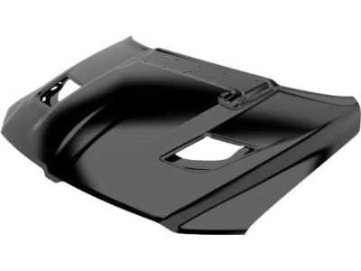 Mopar 68276297AA Hood