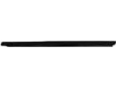 Mopar 55360932AB Weatherstrip Rear Door Belt Outer