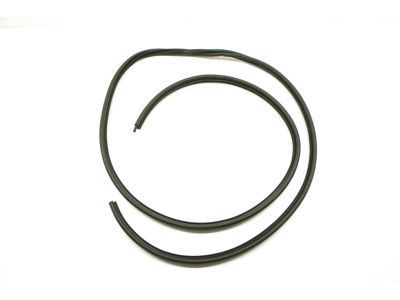 Dodge D100 Door Seal - 55023781