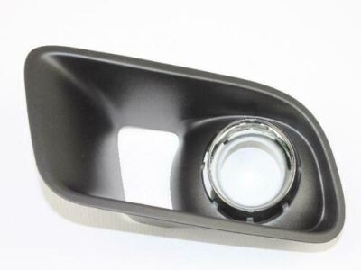 Dodge 68072020AA Fog Lamp Bezel