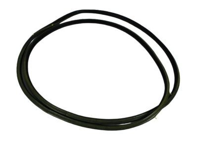 Dodge B3500 Door Seal - 55359222AA
