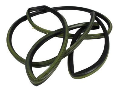 Dodge B3500 Door Seal - 55359222AA