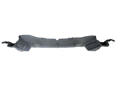 Dodge 68060070AB Front Shield