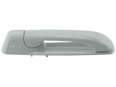 Ram 1GH18GW7AF Handle, Outside