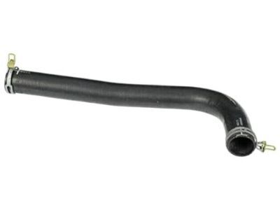 Dodge Ram 2500 Radiator Hose - 55056954AB