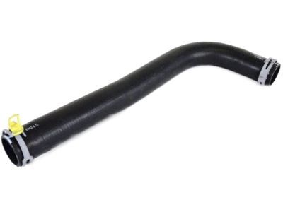 Dodge Ram 2500 Radiator Hose - 55056954AB