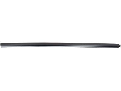 Dodge 55076536 Body Side Molding