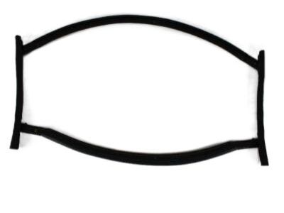 Chrysler 68028556AA Front Weatherstrip