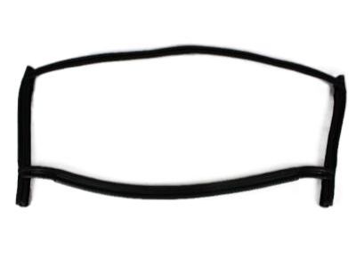 Chrysler 68028556AA Front Weatherstrip