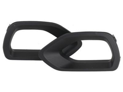 Dodge 68417504AB Bezel