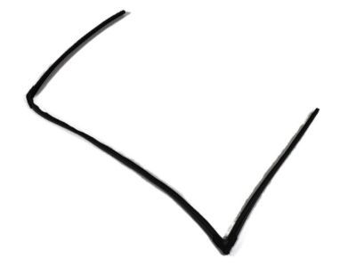 Mopar 68039969AD Weatherstrip Door Glass Running With Glass Rear Door