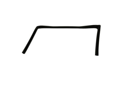 Mopar 5074005AG Weatherstrip Front Door Glass