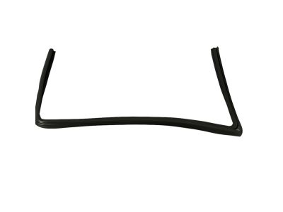 Mopar 5074005AG Weatherstrip Front Door Glass