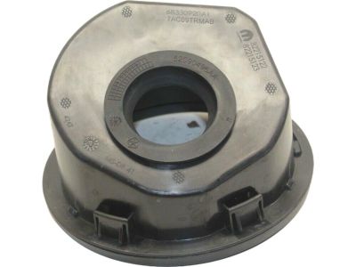 Mopar 68330920AI Door Fuel Fill