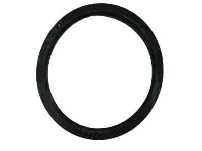 Mopar 68027861AA O Ring Mopar 68027861AA O Ring