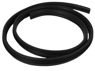 Jeep 55399018AA SEAL Rear Door