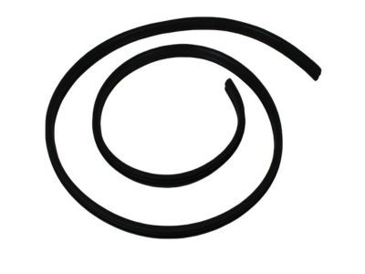 Jeep 55399018AA SEAL Rear Door