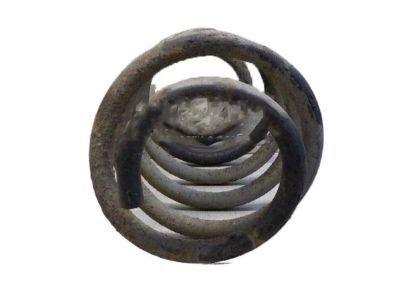 Jeep Grand Cherokee Coil Springs - 52089821AD