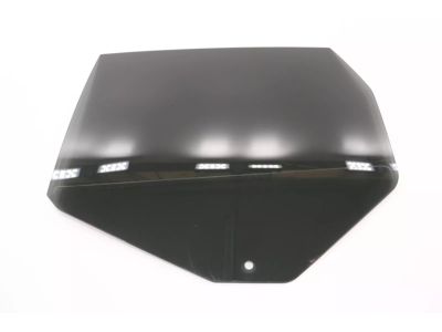 Mopar 68235607AA Glass Rear Door