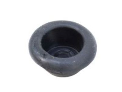 Jeep 55257380AD Plug