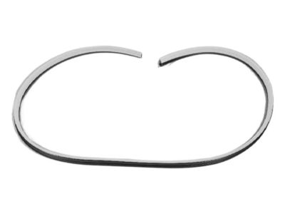 Dodge Magnum Door Seal - UW64DW1AD
