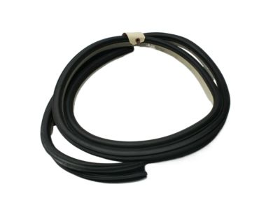 Dodge Magnum Door Seal - UW64DW1AD