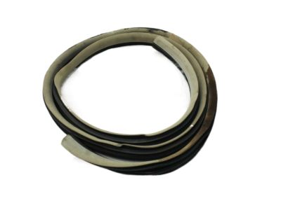 Dodge Magnum Door Seal - UW64DW1AD